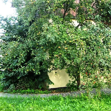 Apartamento Zum Schmied 1
