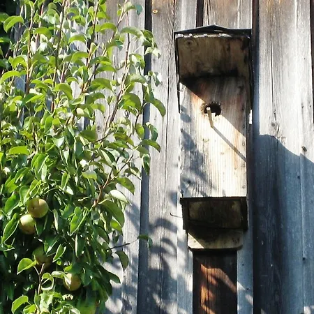 Zum Schmied 1 Apartamento